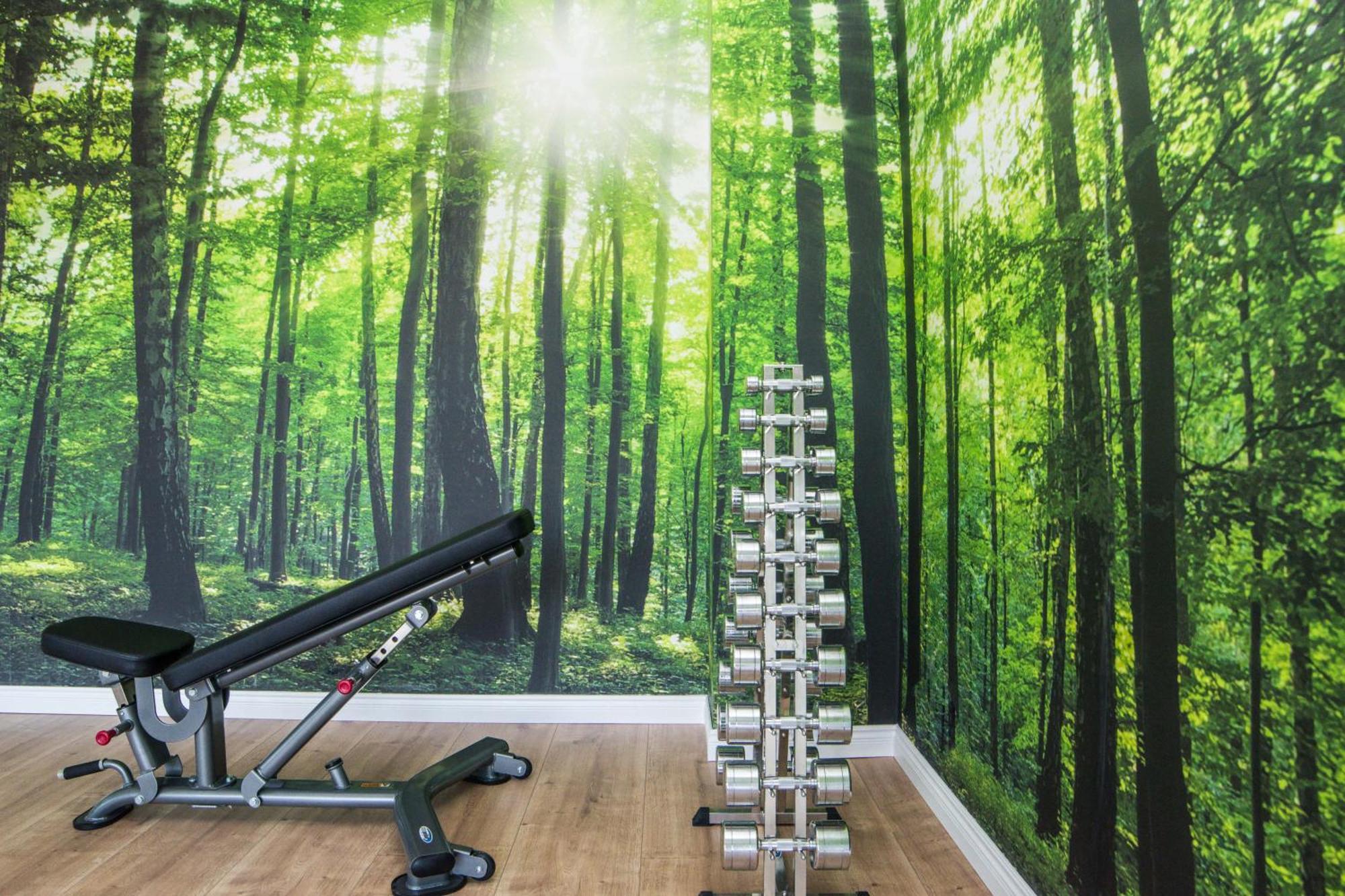 Pod Brzozami Apartamenty Gea Eco Сянозеты Экстерьер фото
